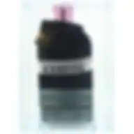 Iceberg Since 1974 (W) Edp 100Ml