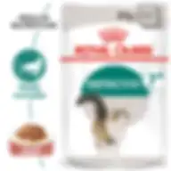 Royal Canin Feline Health Nutrition Instinctive +7 Gravy Wet Food 12's